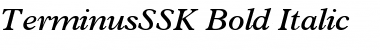 Download TerminusSSK Font Download TerminusSSK Font