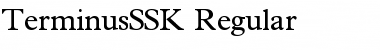 TerminusSSK Regular Font
