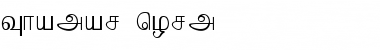 Download Thamar Font Download Thamar Font