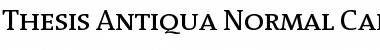 Thesis Antiqua- Regular Font