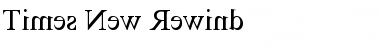 Times New Rewind Regular Font