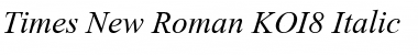 Times New Roman KOI8 Italic Font