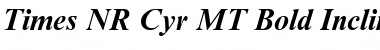Download Times NR Cyr MT Font Download Times NR Cyr MT Font