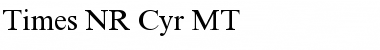 Times NR Cyr MT Regular Font