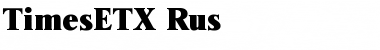 TimesETX Rus Font