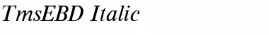 TmsEBD Italic Font