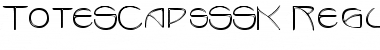 Download ToteSCapsSSK Font Download ToteSCapsSSK Font
