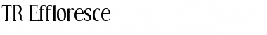 Download TR Effloresce Font Download TR Effloresce Font