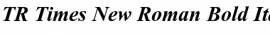 TR Times New Roman Bold Italic Font
