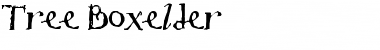 Download Tree Boxelder Font Download Tree Boxelder Font
