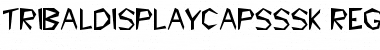 Download TribalDisplayCapsSSK Font Download TribalDisplayCapsSSK Font
