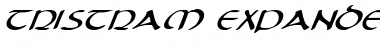 Download Tristram Expanded Italic Font Download Tristram Expanded Italic Font