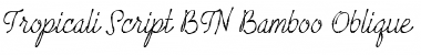Download Tropicali Script BTN Bamboo Font Download Tropicali Script BTN Bamboo Font