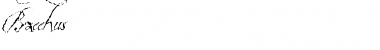 Download Bacchus Font Download Bacchus Font