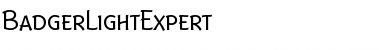 Download BadgerLightExpert Font Download BadgerLightExpert Font