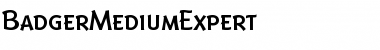Download BadgerMediumExpert Font Download BadgerMediumExpert Font
