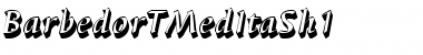 Download BarbedorTMedItaSh1 Font Download BarbedorTMedItaSh1 Font