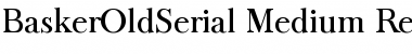 Download BaskerOldSerial-Medium Font Download BaskerOldSerial-Medium Font