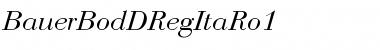Download BauerBodDRegItaRo1 Font Download BauerBodDRegItaRo1 Font