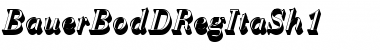 Download BauerBodDRegItaSh1 Font Download BauerBodDRegItaSh1 Font