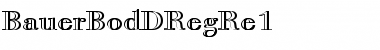 Download BauerBodDRegRe1 Font Download BauerBodDRegRe1 Font