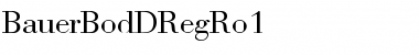 Download BauerBodDRegRo1 Font Download BauerBodDRegRo1 Font