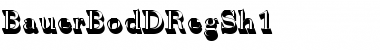 Download BauerBodDRegSh1 Font Download BauerBodDRegSh1 Font
