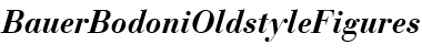Download BauerBodoniOldstyleFigures Font Download BauerBodoniOldstyleFigures Font