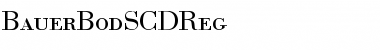 Download BauerBodSCDReg Font Download BauerBodSCDReg Font