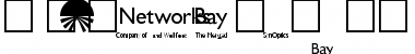 Download BayNetworksLogos Font Download BayNetworksLogos Font