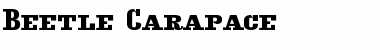 Download Beetle Font Download Beetle Font