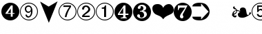 Download DingbatsTwo Font Download DingbatsTwo Font