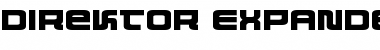 Download Direktor Expanded Font Download Direktor Expanded Font