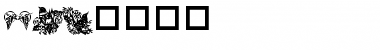 Download DLBirdz Font Download DLBirdz Font