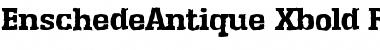Download EnschedeAntique-Xbold Font Download EnschedeAntique-Xbold Font