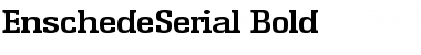 Download EnschedeSerial Font Download EnschedeSerial Font