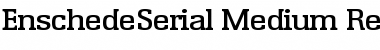 Download EnschedeSerial-Medium Font Download EnschedeSerial-Medium Font