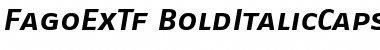 FagoExTf ItalicBold Font