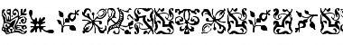 Download FCaslonOrnamentsITC Font Download FCaslonOrnamentsITC Font
