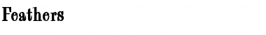 Download Feathers Font Download Feathers Font