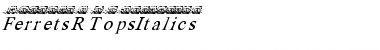 Download FerretsRTopsItalics Font Download FerretsRTopsItalics Font