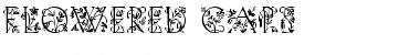 Download 72 Font Download 72 Font