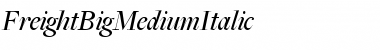 Download FreightBigMediumItalic Font Download FreightBigMediumItalic Font