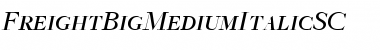 Download FreightBigMediumItalicSC Font Download FreightBigMediumItalicSC Font