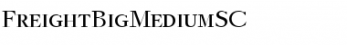Download FreightBigMediumSC Font Download FreightBigMediumSC Font