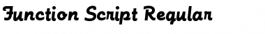 Download Function-Script Font Download Function-Script Font