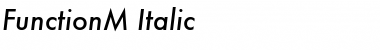 Download FunctionM Font Download FunctionM Font
