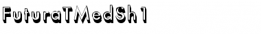 Download FuturaTMedSh1 Font Download FuturaTMedSh1 Font