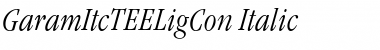 Download GaramItcTEELigCon Italic Font Download GaramItcTEELigCon Italic Font