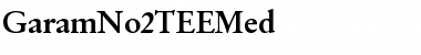 Download GaramNo2TEEMed Font Download GaramNo2TEEMed Font